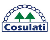 Cosulati